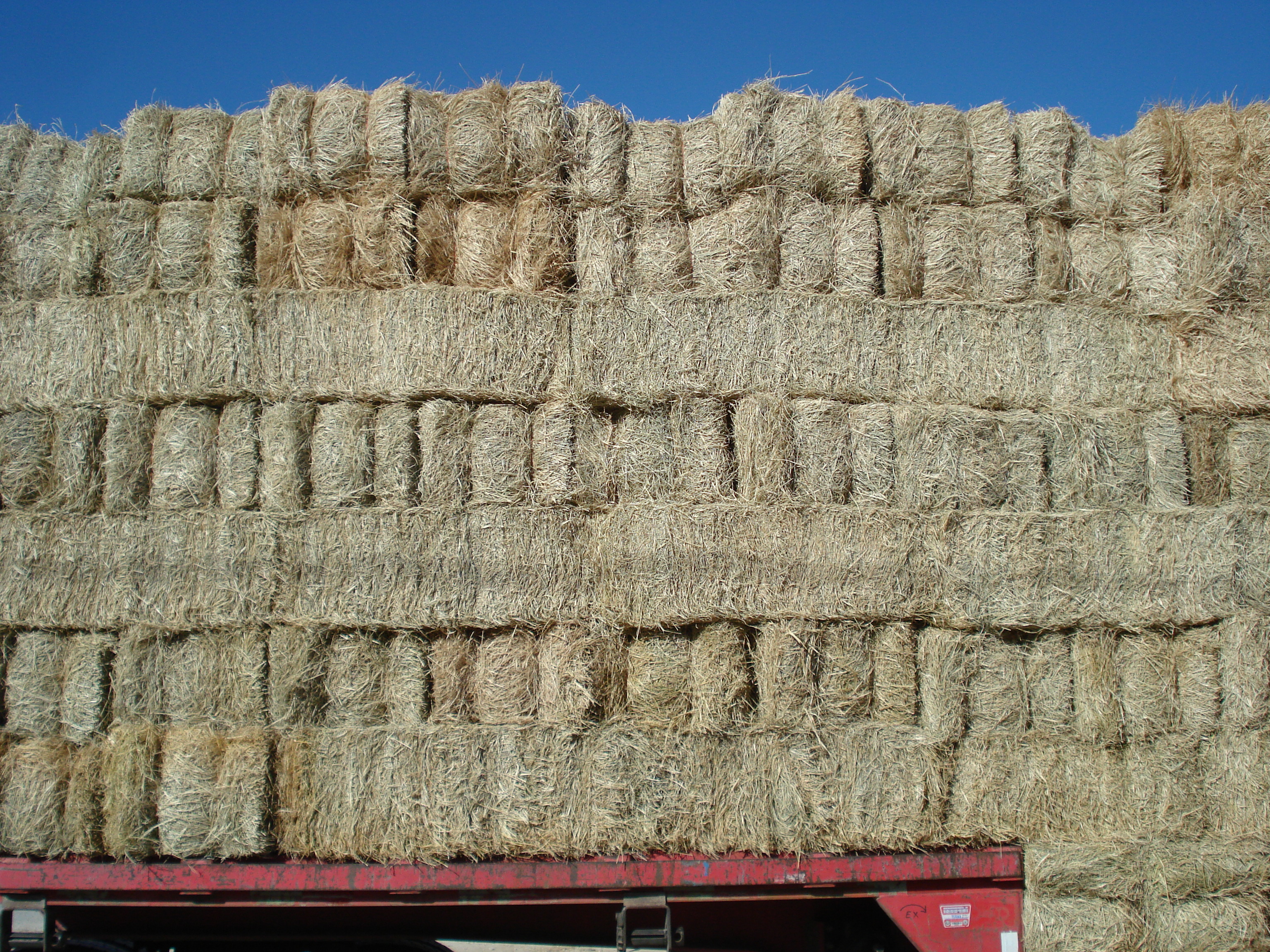 Square Coastal Bales