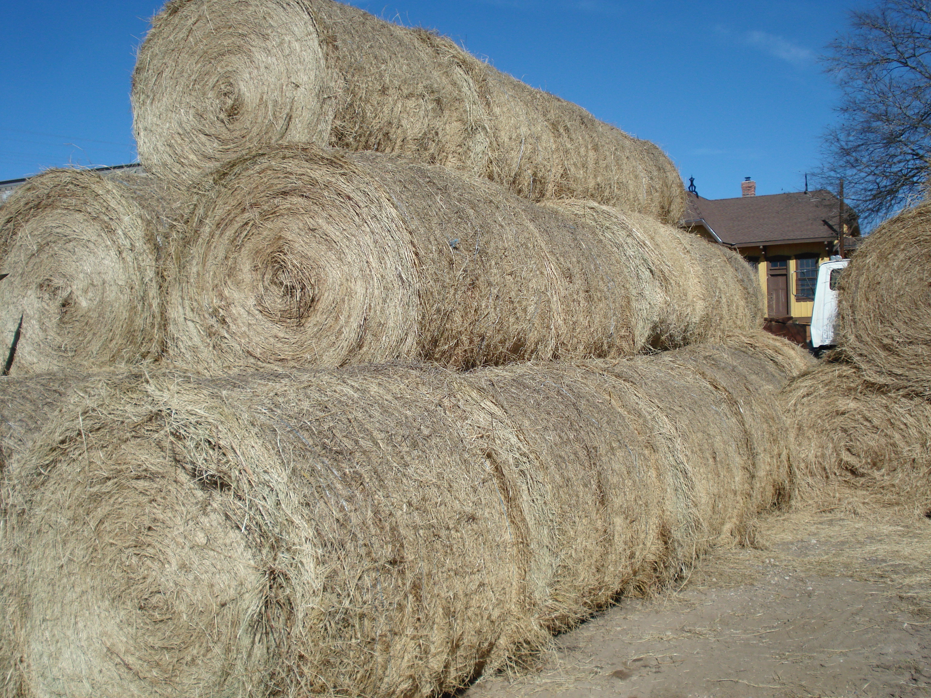 Round Hay Bales
